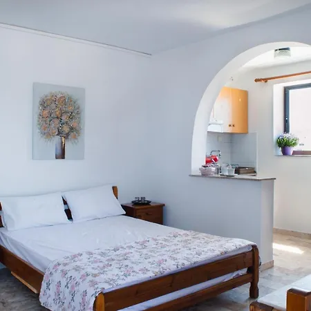 Διαμέρισμα Studio Sea View Naxos City